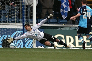 Images Dated 28th December 2009: Brezovan Wycombe 08193