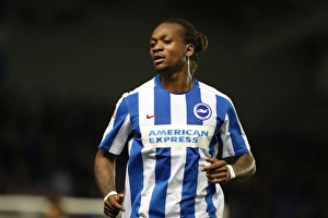 Brighton and Birmingham Clash: EFL Sky Bet Championship Showdown at American Express Community Stadium (04APR17)