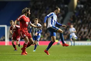 Brighton and Birmingham Clash in EFL Sky Bet Championship: April 4, 2017 (American Express Community Stadium)