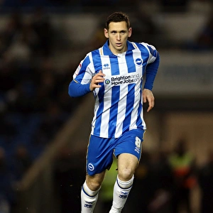Images Dated 12th January 2013: Brighton Derby County 130112