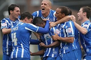 Images Dated 11th September 2010: Brighton & Hove Albion 2010-11: Home Match Against MK Dons