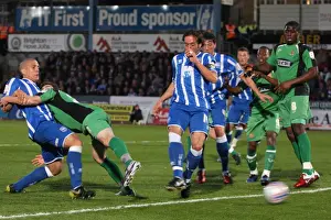 Brighton & Hove Albion: 2010-11 Season - Home Games vs Dagenham & Redbridge