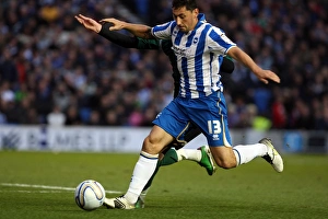 Coventry City 26-11-2011 Prints: Brighton & Hove Albion 2011-12: Home Game vs. Coventry City (November 26)