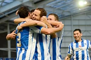 Images Dated 3rd April 2012: Brighton & Hove Albion 2011-12: Home Game vs Barnsley (Nov 6)