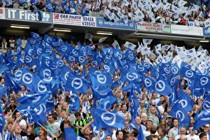 Brighton & Hove Albion 2011-12 Home Games: Spurs and Doncaster