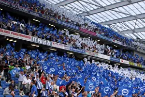 Season 2011-12 Prints: Brighton & Hove Albion 2011-12 Home Matches: Spurs and Doncaster