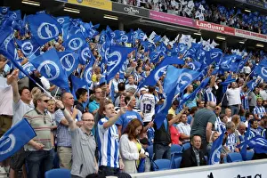 Spurs And Doncaster Collections Prints: Brighton & Hove Albion 2011-12 Home Matches: Spurs and Doncaster