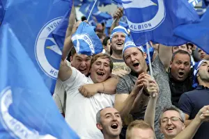 Brighton & Hove Albion 2011-12 Home Matches: Spurs and Doncaster