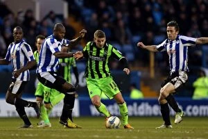 Images Dated 2nd February 2013: Brighton & Hove Albion: 2012-13 Away Game vs Sheffield Wednesday - 02-02-2013