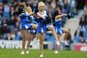 Images Dated 20th October 2012: Brighton & Hove Albion 2012-13: Home Game vs. Middlesbrough (October 2012)