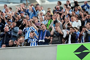 Blackpool - 20-04-2013 Prints: Brighton & Hove Albion 2012-13: Home Game vs. Blackpool (April 20, 2013)