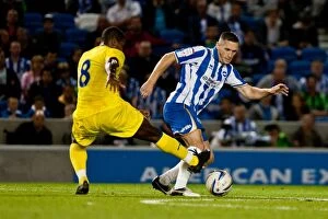 Images Dated 7th August 2012: Brighton & Hove Albion: 2012-13 Pre-Season - Reading