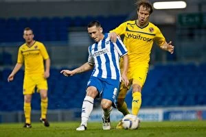 Images Dated 7th August 2012: Brighton & Hove Albion: 2012-13 Pre-Season - A Look Back at the Reading Match