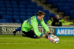 Brighton & Hove Albion: 2012-13 Pre-Season - A Look Back at the Reading Match