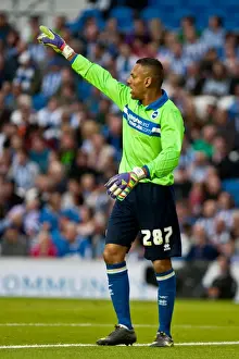 Reading Prints: Brighton & Hove Albion: 2012-13 Pre-Season - Reading