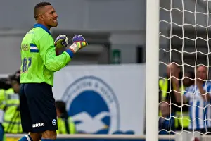 Reading Prints: Brighton & Hove Albion: 2012-13 Pre-Season - Reading