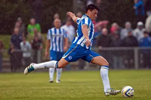 Worthing Prints: Brighton & Hove Albion: 2012-13 Pre-Season Training at Worthing