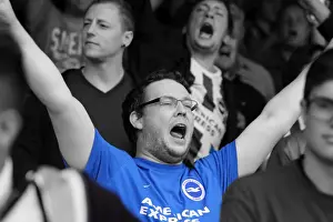 Brighton & Hove Albion 2014-15: Away Game at Brentford (September 13, 2014)
