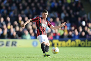 Brighton & Hove Albion: 2014-15 Away Game vs. Watford (October 4, 2014)