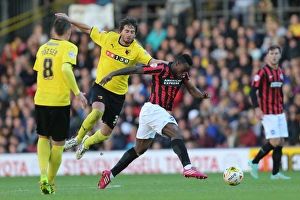 Brighton & Hove Albion: 2014-15 Away Game vs. Watford (October 4, 2014)