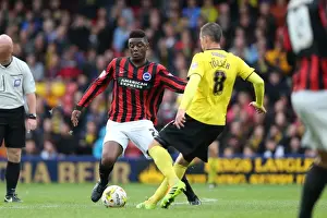 Watford 04OCT14 Prints: Brighton & Hove Albion: 2014-15 Away Game - Watford (October 4, 2014)