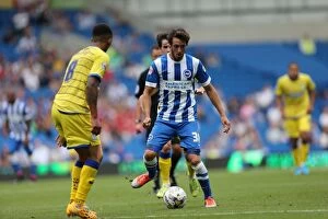 Images Dated 9th August 2014: Brighton & Hove Albion 2014-15: Home Game vs Sheffield Wednesday (09/08/14)