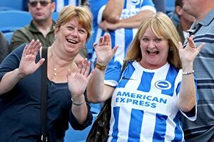 Images Dated 9th August 2014: Brighton & Hove Albion 2014-15: Home Game vs Sheffield Wednesday (09/08/14)