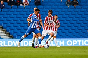 Brighton & Hove Albion 2014-15: Home Game vs. Cheltenham (August 12, 2014)