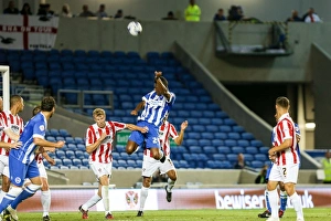 Brighton & Hove Albion 2014-15: Home Game vs. Cheltenham (August 12, 2014)