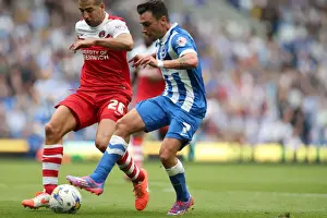 Brighton & Hove Albion 2014-15: Home Game vs Charlton Athletic (30/08/14)