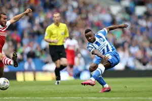 Brighton & Hove Albion 2014-15: Home Game vs Charlton Athletic (August 30)