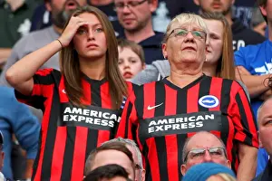 Brighton & Hove Albion 2014-15: Home Game vs Charlton Athletic (August 30, 2014)