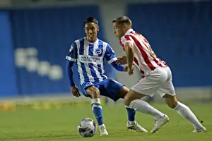 Brighton & Hove Albion 2014-15: Home Game vs Cheltenham (August 12, 2014)