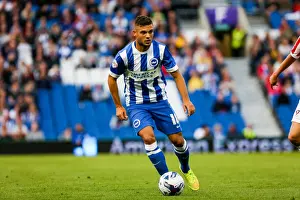 Brighton & Hove Albion 2014-15: Home Game vs Cheltenham (August 12, 2014)