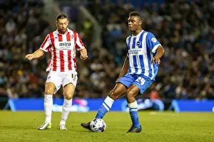 Brighton & Hove Albion 2014-15: Home Game vs Cheltenham (August 12, 2014)
