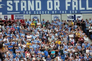 Brighton & Hove Albion 2014-15: Home Game vs Sheffield Wednesday (09/08/14)