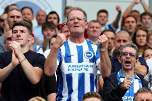 Sheffield Wednesday 09/08/14 Prints: Brighton & Hove Albion 2014-15: Home Game vs Sheffield Wednesday (09/08/14)