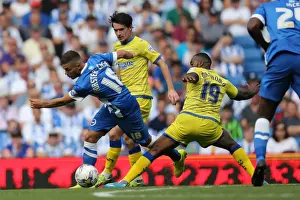 Brighton & Hove Albion 2014-15: Home Game vs Sheffield Wednesday (September 8th, 2014)