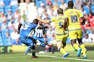 Images Dated 9th August 2014: Brighton & Hove Albion 2014-15: Home Match against Sheffield Wednesday (September 8th)
