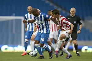Brighton & Hove Albion 2014-15: Home Match against Cheltenham (August 12, 2014)