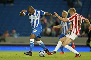 Cheltenham 12/08/14 Prints: Brighton & Hove Albion 2014-15: Home Match against Cheltenham (August 12, 2014)