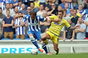 Sheffield Wednesday 09/08/14 Prints: Brighton & Hove Albion 2014-15: Home Match vs Sheffield Wednesday (September 8th)