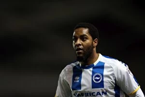 Images Dated 3rd December 2013: Brighton & Hove Albion: 3-1 Home Victory Against Barnsley (December 3, 2013 - 2013-14 Season)