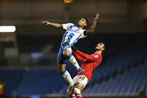 Brighton & Hove Albion: 3-1 Home Victory over Barnsley (Dec 2013, Season 2013-14)