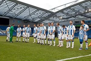 Images Dated 21st May 2014: Brighton & Hove Albion in Action: Game 5 - May 21, 2014