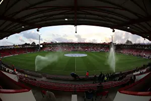 Brighton & Hove Albion at American Express Community Stadium: SkyBet Championship Clash with Bournemouth (November 2014)