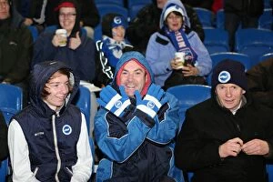 Images Dated 29th December 2012: Brighton and Hove Albion: The Amex Stadium - Electric Atmosphere (2012-2013)