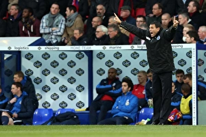 Crystal Palace - 01-12-2012 Prints: Brighton & Hove Albion Away: 2012-13 Season vs. Crystal Palace (01-12-2012)