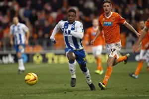 Blackpool - 29-12-2013 Prints: Brighton & Hove Albion Away at Blackpool (2013-14 Season)