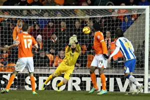 Blackpool - 29-12-2013 Prints: Brighton & Hove Albion Away at Blackpool (2013-14 Season)